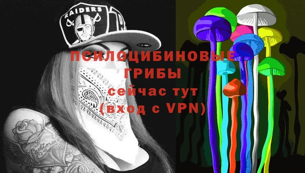 apvp Балабаново