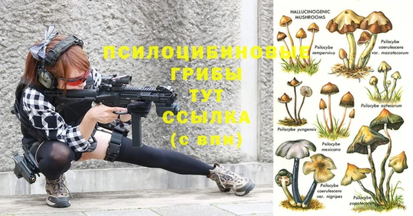 apvp Балабаново