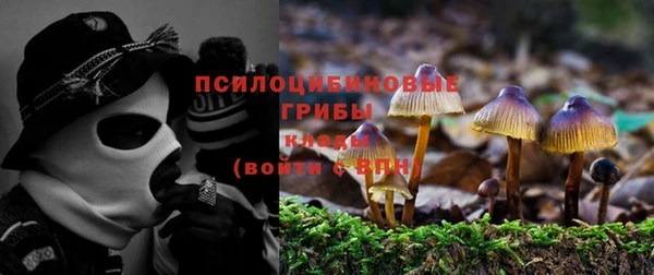 мдма Белокуриха
