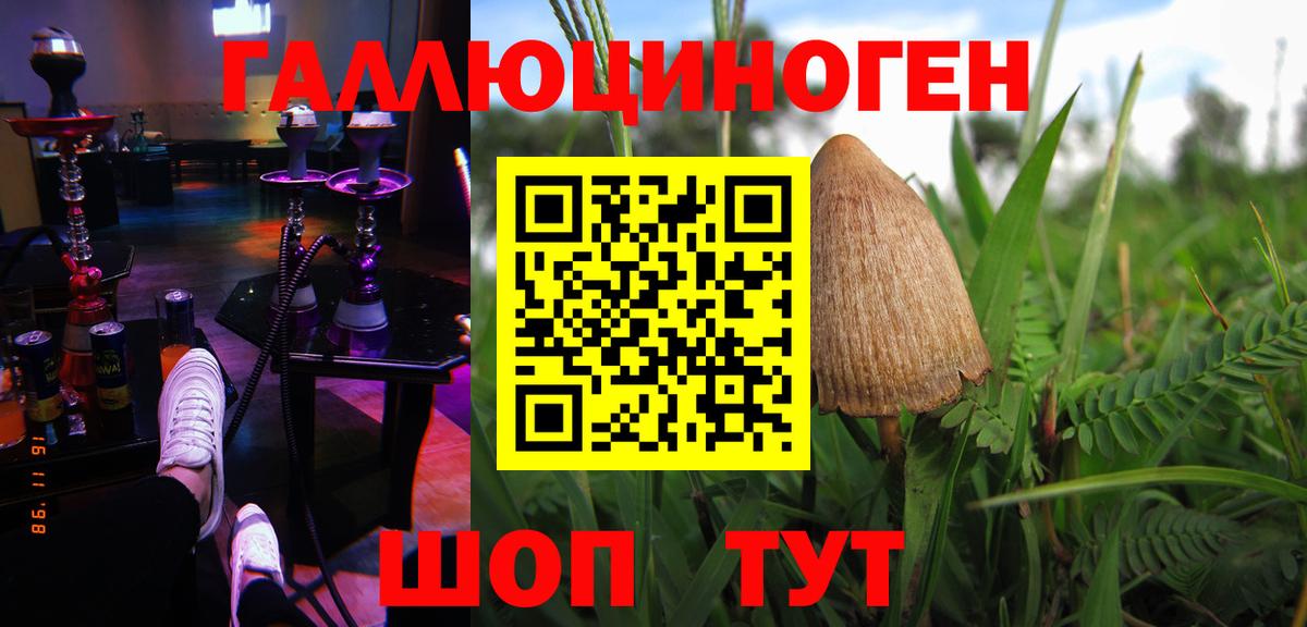 Галлюциногенные грибы прущие грибы  Гулькевичи 