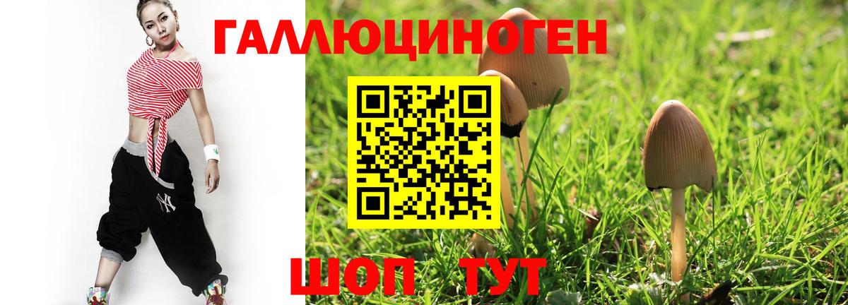Гулькевичи  Галлюциногенные грибы Cubensis  Галлюциногенные грибы прущие грибы  Вход с VPN 