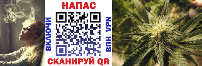 МАРИХУАНА ГИДРОПОН  продажа наркотиков  Гулькевичи 